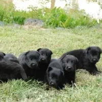 فروشی۳۰۰۰۰۰۰