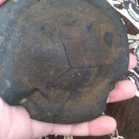 سرقلیون قدیمی قلم صفوی کهنه|کلکسیون اشیاء عتیقه|تهران, دکتر هوشیار|دیوار