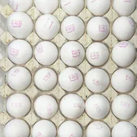 پخش مویرگی و عمده تخممرغ تازه و با کیفیت|خوردنی و آشامیدنی|تهران, مشیریه|دیوار