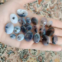 پک اقتصادی شجرقائن