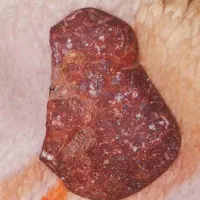 لبیک|جواهرات|ارومیه, |دیوار