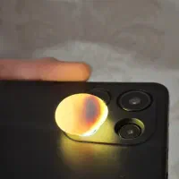 عروس هلندی مولد|پرنده|فولادشهر, C2|دیوار