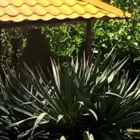 اجاره سوییت سرایداری