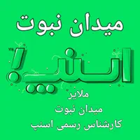 ثبت‌نام ر ا یگا ن راننده اسنپ،میدان نبوت،کار