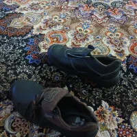 کفش کار