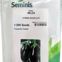 ((نشا))|گل و گیاه طبیعی|دزفول, |دیوار