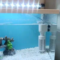 آکواریوم شرکتی شیشه خم