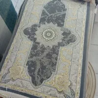 پادری و کناره تخفیفی|فرش|زاهدان, |دیوار