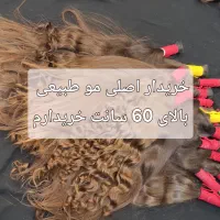 فروش مو طبیعی کد 80
