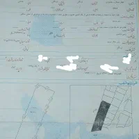 زمین تجاری100متر