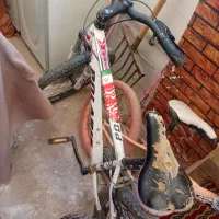 4عدد دوچرخه