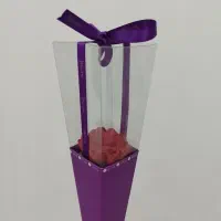 گل های که هرگز پژمرده نمیشوند...|گل و گیاه طبیعی|اهواز, کمپلو شمالی|دیوار