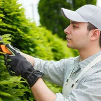 استخدام باغبان ساختمان مسکونی