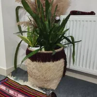 گل با گلدان حصیری