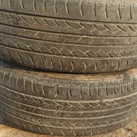 لاستیک بارز ۱۵|فعالیت داوطلبانه|قم, پردیسان|دیوار