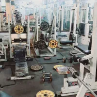 دستگاه بدنسازی برا فروش  جارو کش