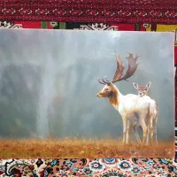 تابلو شیک و زیبا|تابلو، نقاشی، عکس|گرگان, |دیوار