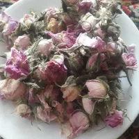 گل محمدی|گل و گیاه طبیعی|بسطام, |دیوار