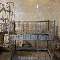 قفس دو طبقه آهنی و محکم تمیز