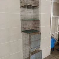 قفس پرنده