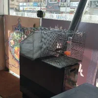 قناری نرقرص