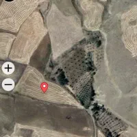 زمین زراعی 8000متر|فروش دفتر صنعتی، کشاورزی، تجاری|خلخال, |دیوار