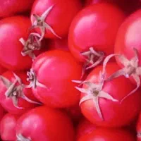 گوجه