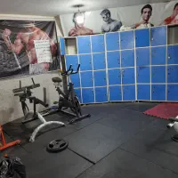 باشگاه بدنسازی برند وگاتی|تجهیزات ورزشی|نورآباد, |دیوار