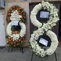 تاج گل دسته گل باکس گل مناسب همه مراسم ختمی جشنی|گل و گیاه طبیعی|تهران, شهرک محلاتی|دیوار