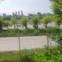 سرایداری