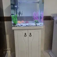 اکواریوم همراه با ماهی و لوازم