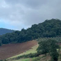 3هزار-متر-زمین-ویلایی-جنگلی-در-روستای-قلعه-چه