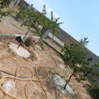 زمین باغ ، دور دیوار شده .قابل معاوضه