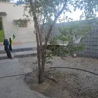 کارگاه بلوک زنی تنگک ۳ کوچه باغ ایمان پلاک ۲|اجارهٔ دفتر صنعتی، کشاورزی، تجاری|بوشهر, |دیوار