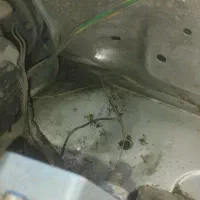 پژو پارس دوگانه۸۳|خودرو سواری و وانت|زنجان, |دیوار