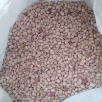 لوبیا چیتی|خوردنی و آشامیدنی|زرین دشت (فارس), |دیوار