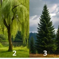 سیم کارت ۰۹۱۲۱۱۶۰۸۳۱فروشی