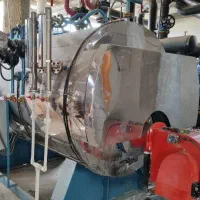 دیگ بخار / دوتن صنعتی