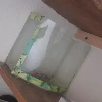 آکواریوم|ماهی|اندیشه, اندیشه فاز ۲|دیوار