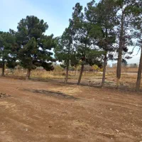 زمین باغچه|فروش زمین و ملک کلنگی|اسلام‌شهر, شهرک طالقانی|دیوار