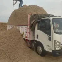 کاه نیشکر باگاس برداشت تازه مخصوص دام|لوازم جانبی حیوانات|کرج, چمران|دیوار
