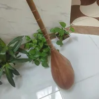 دوتار خوش خان و خوش صدا|سازهای سنتی|کاشمر, |دیوار