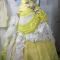 تعدادی لباس مجلسی به فروش می‌رسد|لباس|قم, جهان بینی|دیوار