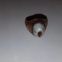 انگشتر باباقوری|جواهرات|اصفهان, برزان|دیوار