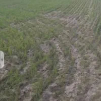 زمین کشاورزی