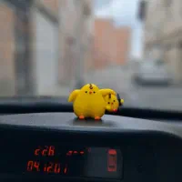 جوجه روداشبوردی