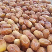 خرما ۳ ردیف و دو ردیف و دوکیلویی|خوردنی و آشامیدنی|تهران, سهروردی|دیوار