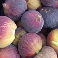 دستچین شده درشت