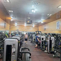 نیازمند منشی باشگاه سانس اقایان