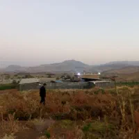 فروش-معاوضه-گاوداری-و-زمین-کشاورزی